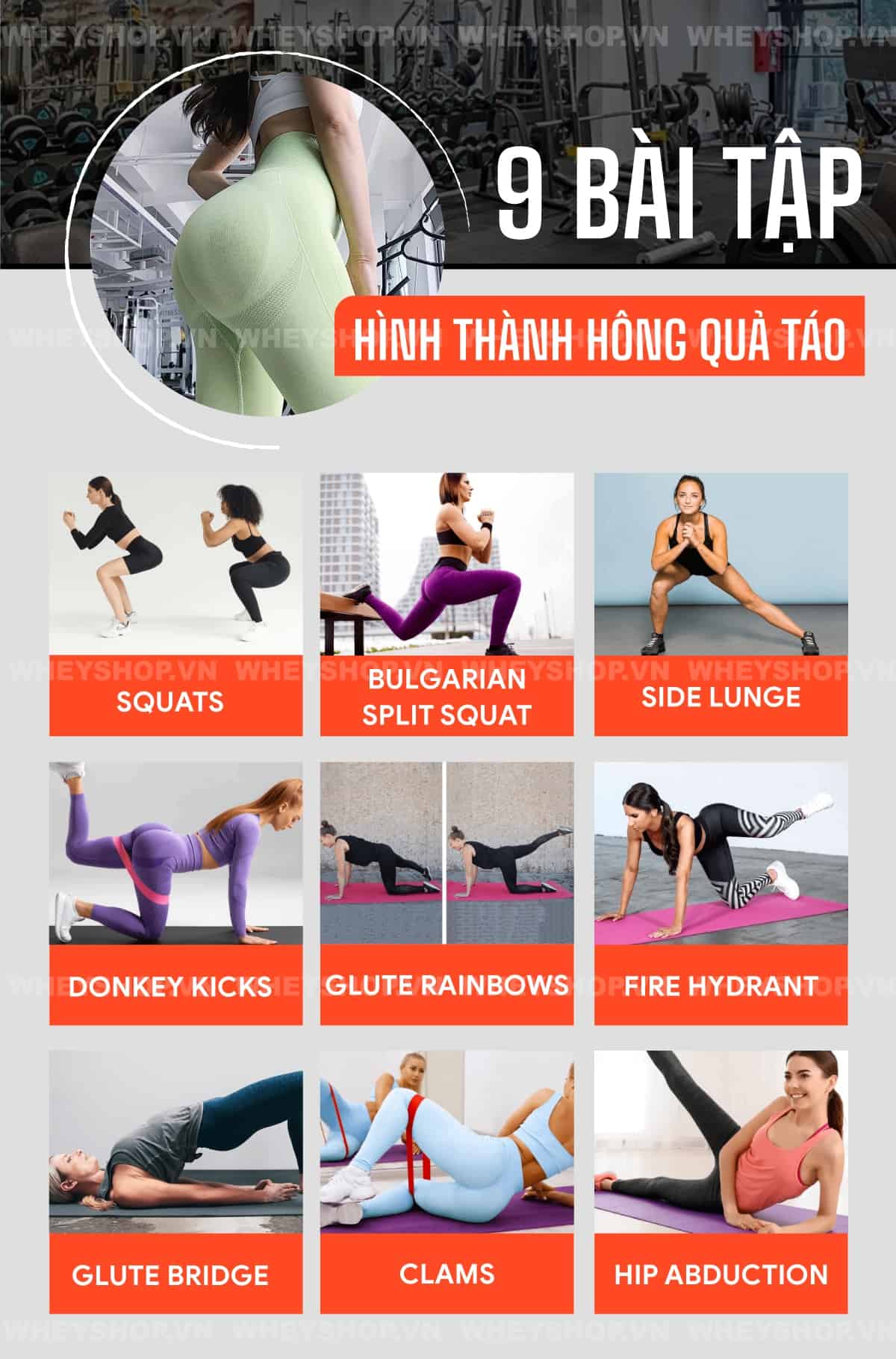 Trào lưu "hông quả táo" nổi lên khiến chị em nào cũng say mê và mong muốn sở hữu. WheyShop sẽ bật mí cách tạo mông quả táo ngay dưới đây...