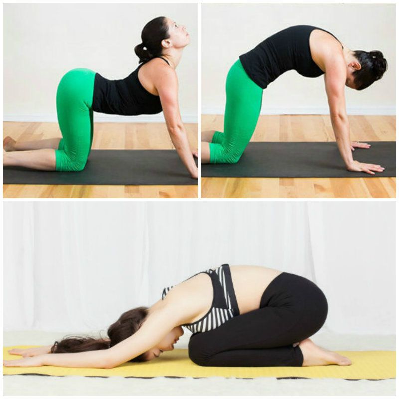 bai tap lung cho nu giup giam mo lung wheyshop vn