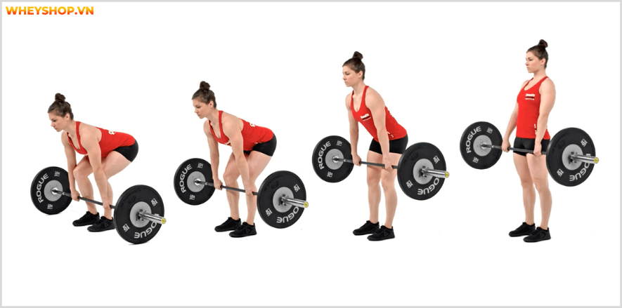 Nhóm cơ lưng dưới là nhóm cơ quan trọng đối với tất cả mọi người. Cùng WheyShop tìm hiể 7 bài tập lưng dưới an toàn, hiệu quả nhất, cho lưng chắc khỏe...