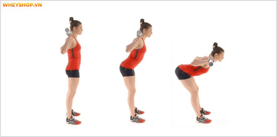 Nhóm cơ lưng dưới là nhóm cơ quan trọng đối với tất cả mọi người. Cùng WheyShop tìm hiể 7 bài tập lưng dưới an toàn, hiệu quả nhất, cho lưng chắc khỏe...