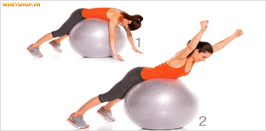 Nhóm cơ lưng dưới là nhóm cơ quan trọng đối với tất cả mọi người. Cùng WheyShop tìm hiể 7 bài tập lưng dưới an toàn, hiệu quả nhất, cho lưng chắc khỏe...