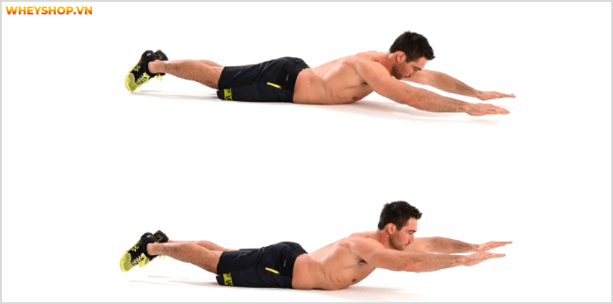 Nhóm cơ lưng dưới là nhóm cơ quan trọng đối với tất cả mọi người. Cùng WheyShop tìm hiể 7 bài tập lưng dưới an toàn, hiệu quả nhất, cho lưng chắc khỏe...