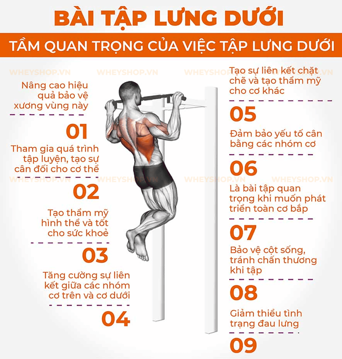 bai-tap-lung-duoi-co-tac-dung-gi-01