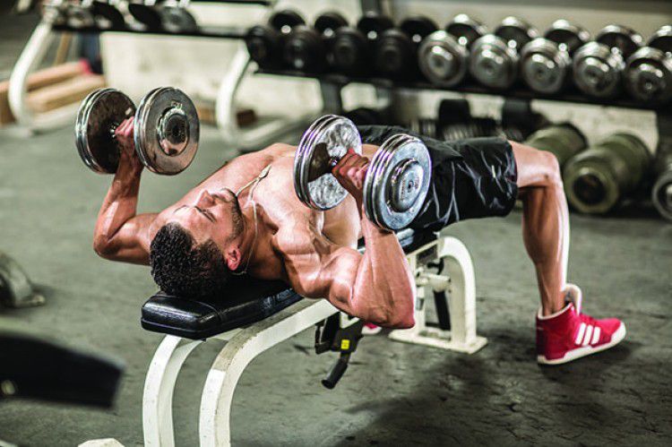 bai tap nguc cho nam va nu tai nha hieu qua wheyshop vn