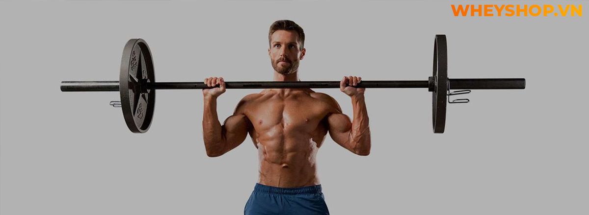 Nếu bạn đang phân vân trong việc tìm kiếm bài tập giảm mỡ bắp tay hiệu quả thì hãy cùng WheyShop điểm qua ngay 15 bài tập trong bài viết...