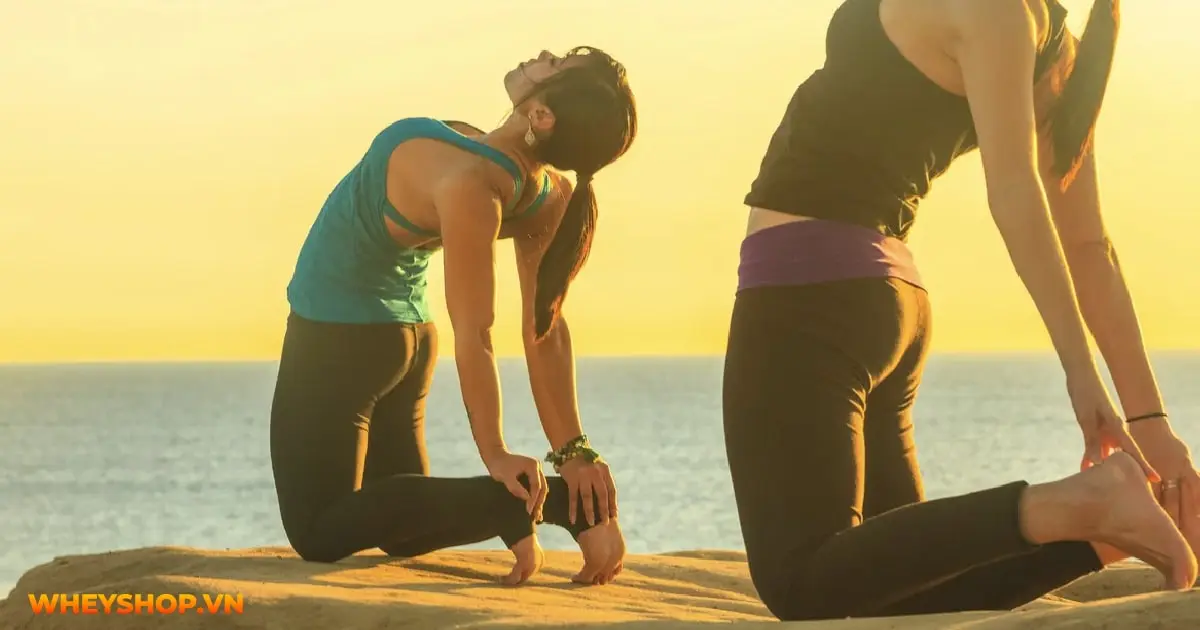 bai-tap-yoga-cho-lung-va-co-thang-06-min