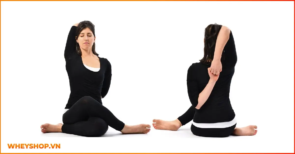 bai-tap-yoga-cho-lung-va-co-thang-06-min