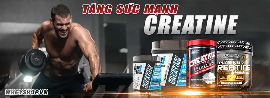 Creatine là gì và có tác dụng quan trọng như thế nào trong tập gym, tập thể hình, có nên sử dụng thường xuyên không