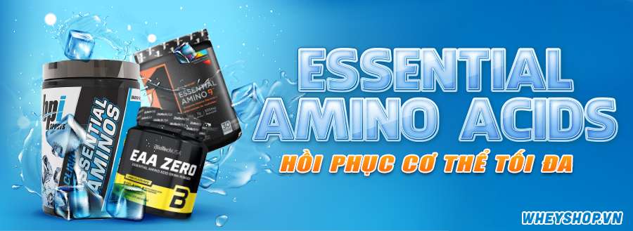 EAA - Essential Amino Acids là các acid amin thiết yếu, chúng có thể xem như những viên gạch nền móng hình thành nên các chuỗi protein, thành tố chính xây và phát triển cơ bắp