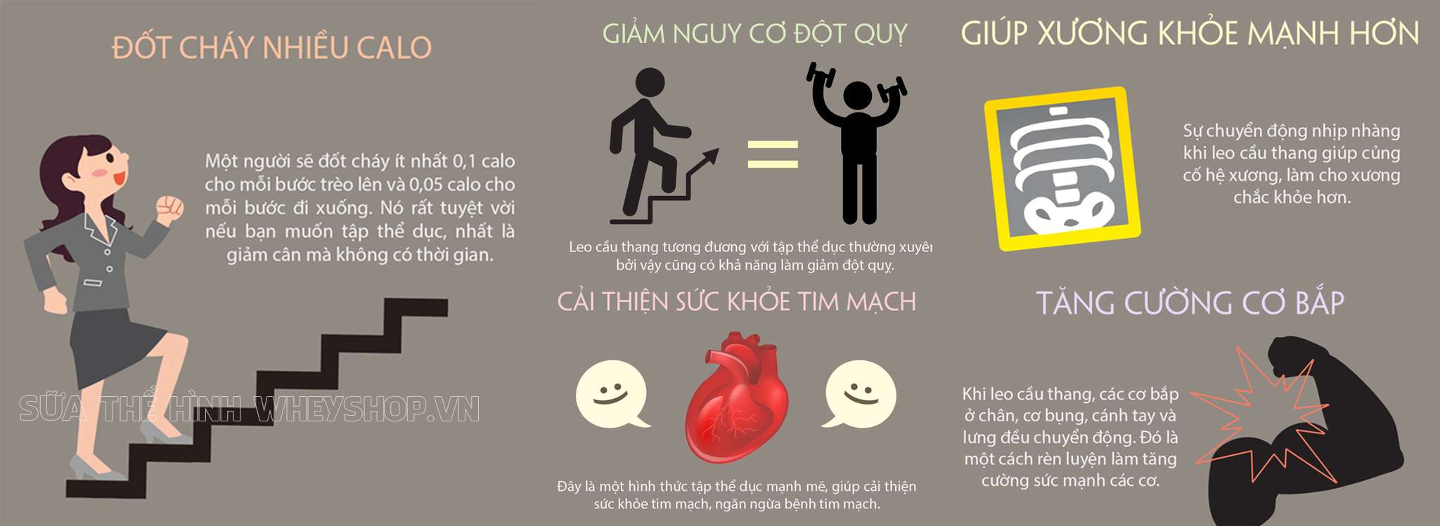 leo cầu thang có giảm mỡ bụng không
