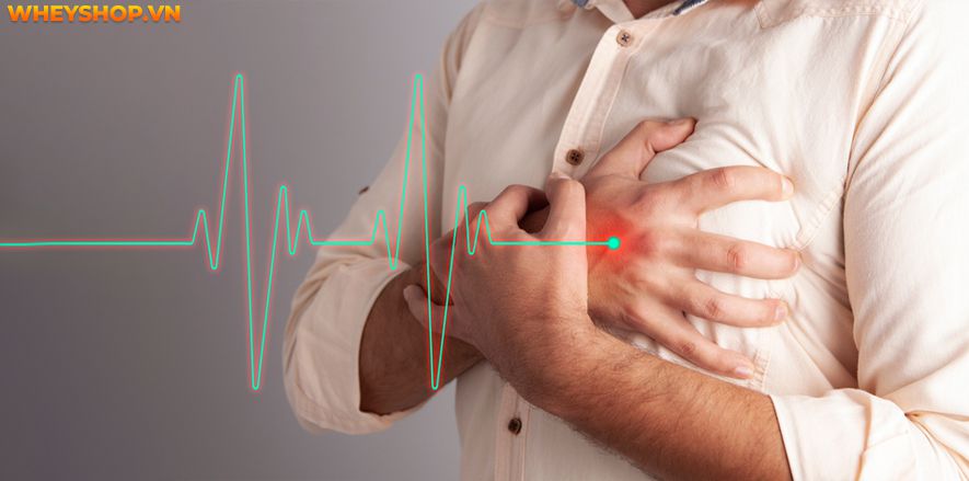 Bánh flan bao nhiêu calo? Ăn bánh flan có mập không? Bài viết này của WheyShop sẽ giải đáp thắc mắc cho bạn nhé