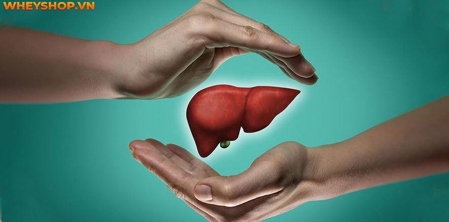 Bánh tráng trộn là món ăn vặt được nhiều người yêu thích, đặc biệt là giới trẻ. Những câu hỏi được đặt ra như là 1 gói bánh tráng trộn bao nhiêu calo ? Ăn...