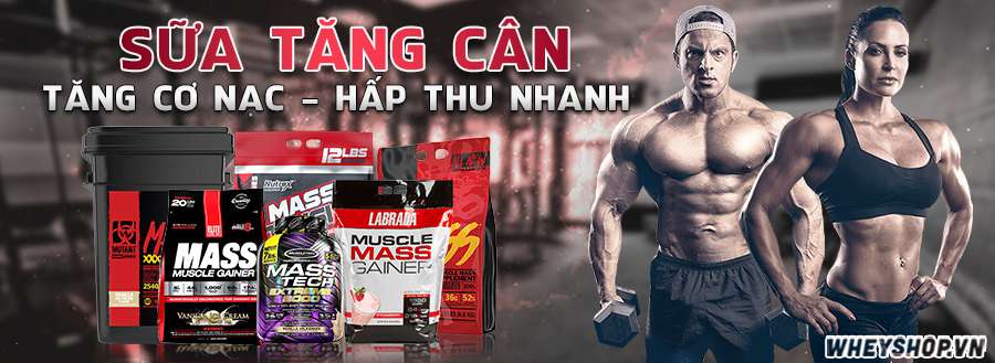 Sữa tăng cân Mass Gainer là sản phẩm hỗ trợ tăng cân nhanh, hiệu quả dành cho người gầy tập Gym, người tập thể hình hiệu quả, sản phẩm nhập khẩu chính hãng USA