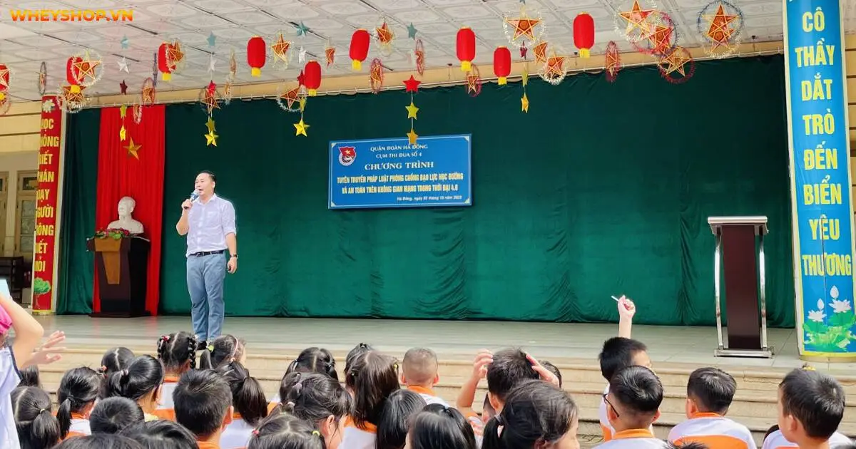 bao-luc-hoc-duong-la-gi-4