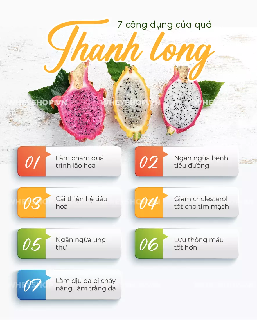 Nhiều ý kiến cho rằng thanh long chứa nhiều đường, nếu đang giảm cân không nên ăn thanh long? Dưới đây là chia sẻ của WheyShop về thanh long bao nhiêu calo...