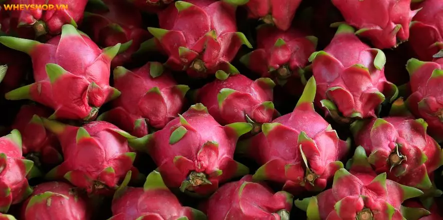 Nhiều ý kiến cho rằng thanh long chứa nhiều đường, nếu đang giảm cân không nên ăn thanh long? Dưới đây là chia sẻ của WheyShop về thanh long bao nhiêu calo...