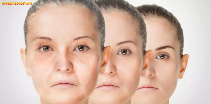 Nhiều ý kiến cho rằng thanh long chứa nhiều đường, nếu đang giảm cân không nên ăn thanh long? Dưới đây là chia sẻ của WheyShop về thanh long bao nhiêu calo...