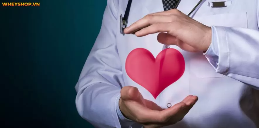 Nhiều ý kiến cho rằng thanh long chứa nhiều đường, nếu đang giảm cân không nên ăn thanh long? Dưới đây là chia sẻ của WheyShop về thanh long bao nhiêu calo...