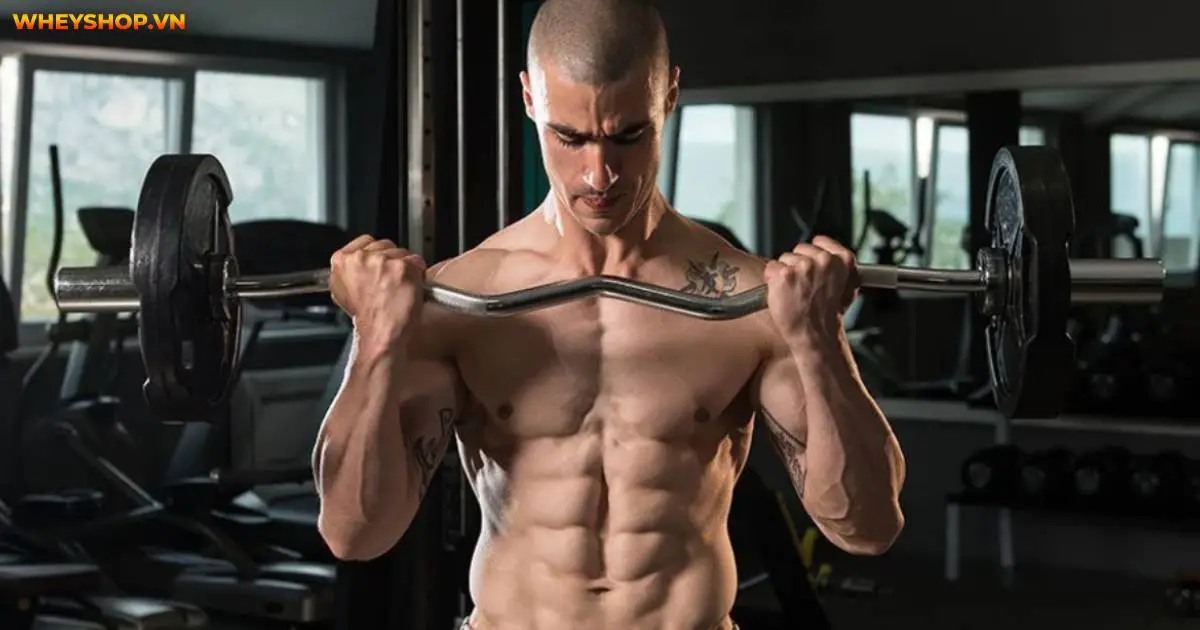 barbell-curl-la-gi-huong-dan-tap-barbell-curl-dung-1