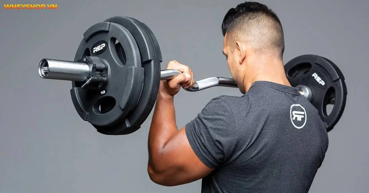 barbell-curl-la-gi-huong-dan-tap-barbell-curl-dung-1