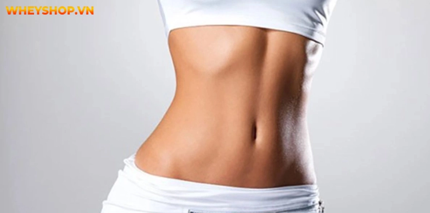 Đối với chị em phụ nữ, thắt eo làm tôn đường cong quyến rũ, dáng người uyển chuyển Bài viết này, WheyShop gợi ý tới chị em 10+ bài tập thắt eo đơn giản...