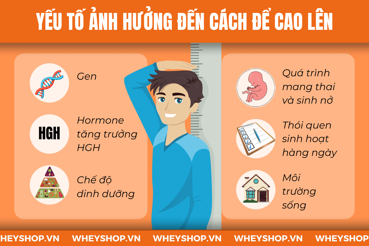 Cao lên không phải là một nhu cầu cá nhân, mà rất nhiều người cũng muốn biết cách tăng chiều cao nhanh trong 1 tuần. Vậy điều này có khả thi không? Hãy cùng...