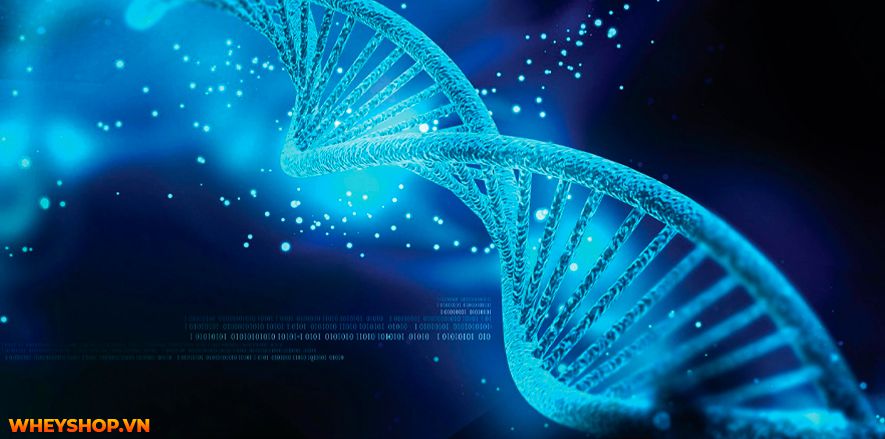 Cao lên không phải là một nhu cầu cá nhân, mà rất nhiều người cũng muốn biết cách tăng chiều cao nhanh trong 1 tuần. Vậy điều này có khả thi không? Hãy cùng...