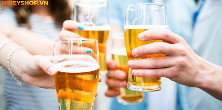 Nếu bạn đang tìm hiểu tác dụng của bia thì hãy cùng WheyShop tham khảo 10 tác dụng của bia mà bạn chưa biết qua bài viết...