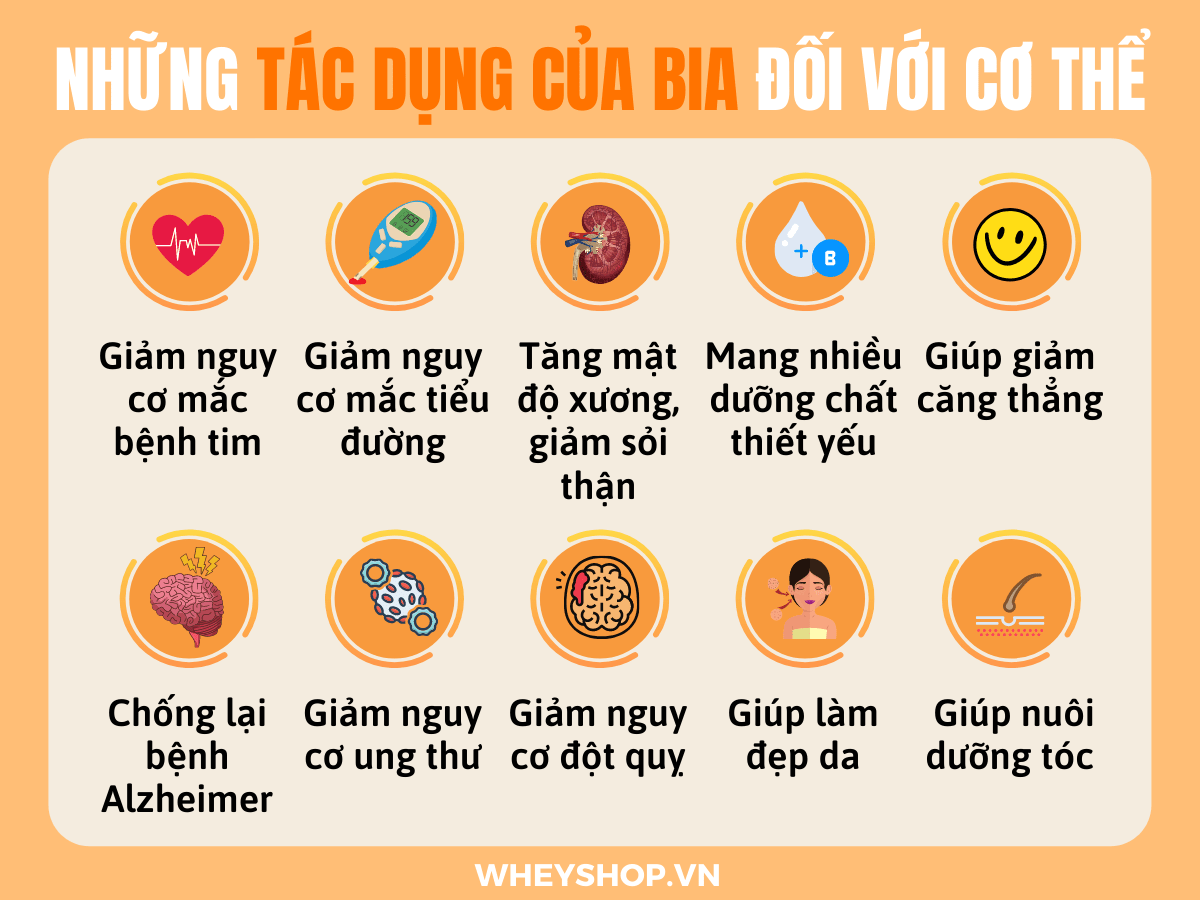 Nếu bạn đang tìm hiểu tác dụng của bia thì hãy cùng WheyShop tham khảo 10 tác dụng của bia mà bạn chưa biết qua bài viết...