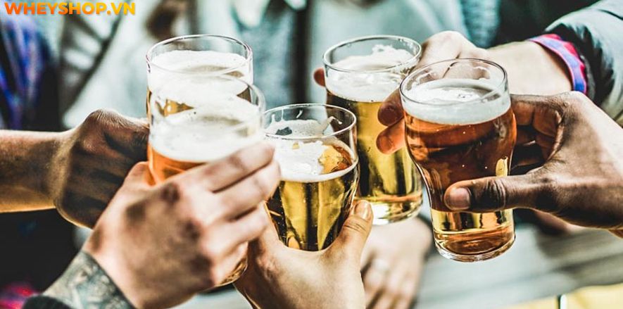 Nếu bạn đang tìm hiểu tác dụng của bia thì hãy cùng WheyShop tham khảo 10 tác dụng của bia mà bạn chưa biết qua bài viết...