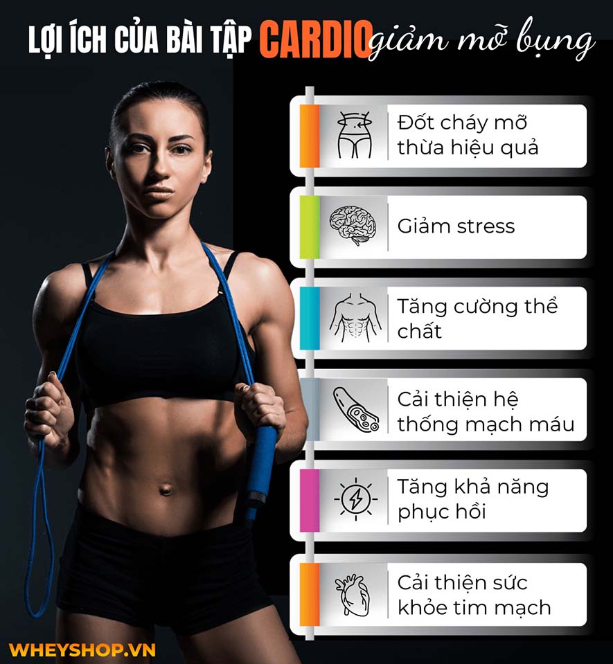 Nếu bạn đang băn khoăn tìm kiếm bài tập cardio giảm mỡ bụng thì hãy cùng WheyShop tham khảo chi tiết qua bài viết sau...