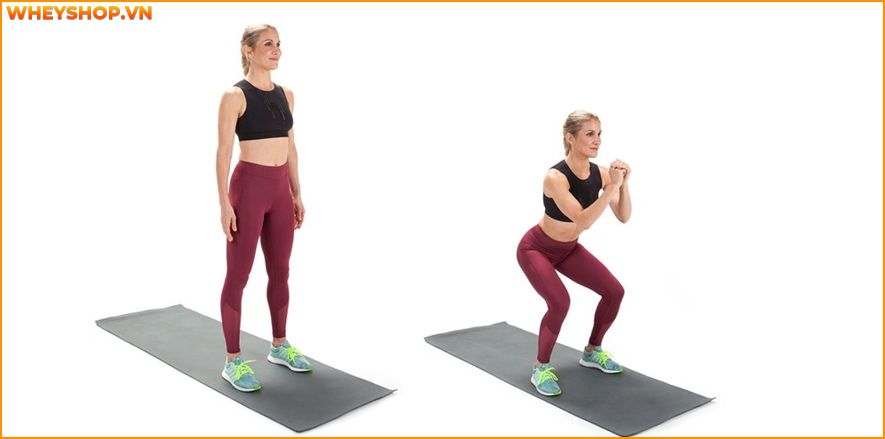 Nếu bạn đang băn khoăn tìm kiếm bài tập cardio giảm mỡ bụng thì hãy cùng WheyShop tham khảo chi tiết qua bài viết sau...