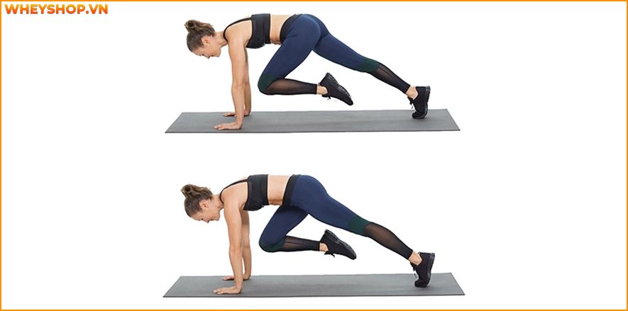 Nếu bạn đang băn khoăn tìm kiếm bài tập cardio giảm mỡ bụng thì hãy cùng WheyShop tham khảo chi tiết qua bài viết sau...