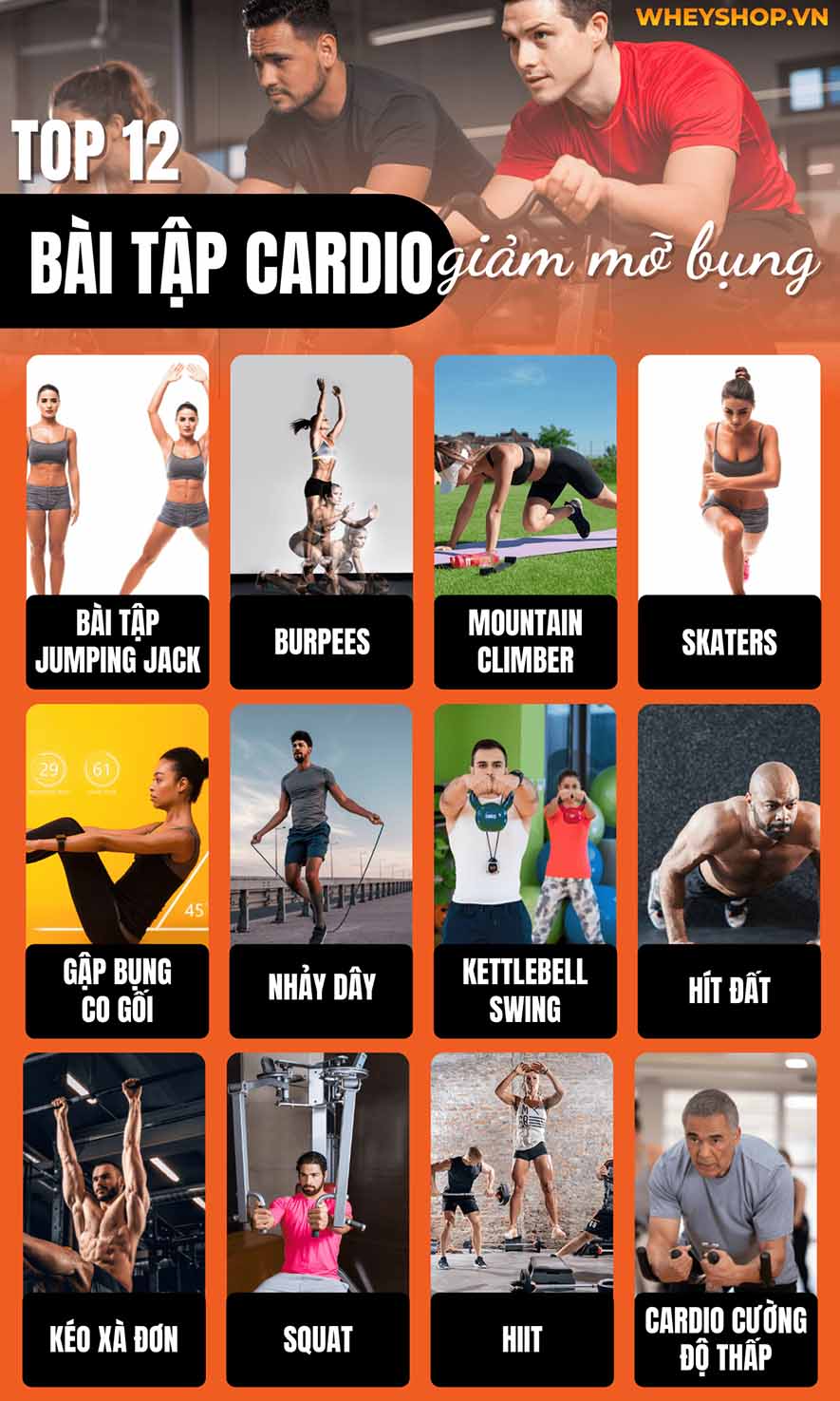 Nếu bạn đang băn khoăn tìm kiếm bài tập cardio giảm mỡ bụng thì hãy cùng WheyShop tham khảo chi tiết qua bài viết sau...