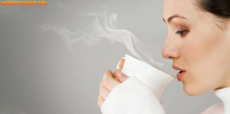 Nếu bạn đang băn khoăn nước uống giảm mỡ bụng hiệu quả, an toàn thì hãy cùng WheyShop tham khảo bật mí ngay 12 loại nước uống giảm mỡ bụng qua bài...