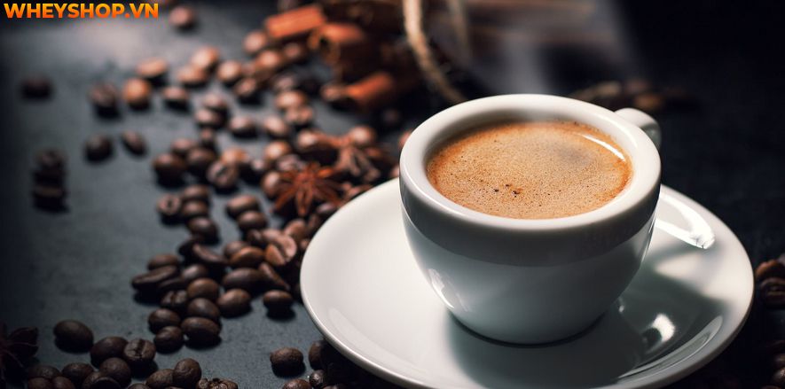 Nếu bạn đang băn khoăn nước uống giảm mỡ bụng hiệu quả, an toàn thì hãy cùng WheyShop tham khảo bật mí ngay 12 loại nước uống giảm mỡ bụng qua bài...
