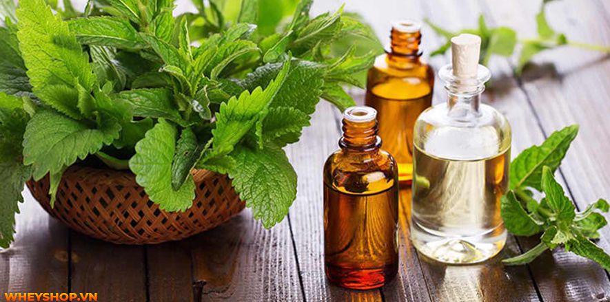 Nếu bạn đang băn khoăn tìm cách massage giảm mỡ bụng hiệu quả thì hãy cùng WheyShop tham khảo chi tiết qua bài viết...