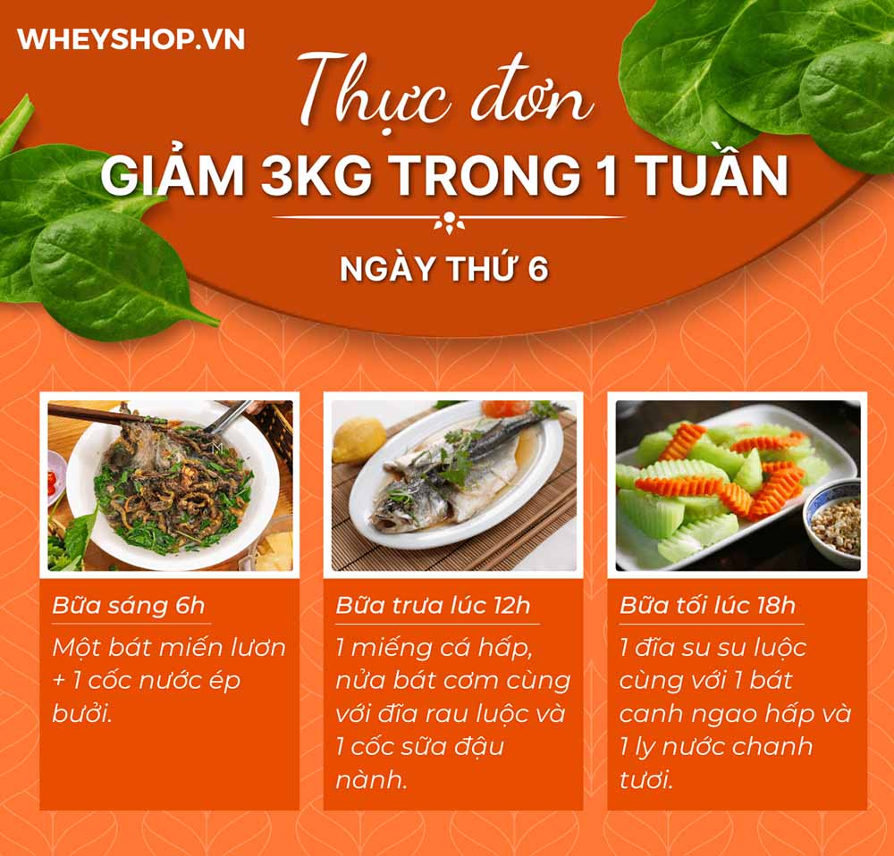 Nếu bạn đang băn khoăn tìm cách giảm 3kg trong 1 tuần thì hãy cùng WheyShop tham khảo chi tiết bài viết ngay sau đây để cùng...