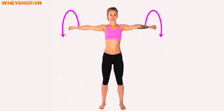 Nếu bạn đang băn khoăn áp dụng nhiều cách cách giảm mỡ bắp tay nhưng chưa có hiệu quả thì bài viết dưới đây WheyShop sẽ chia sẻ tới bạn bí quyết giảm mỡ bắp...