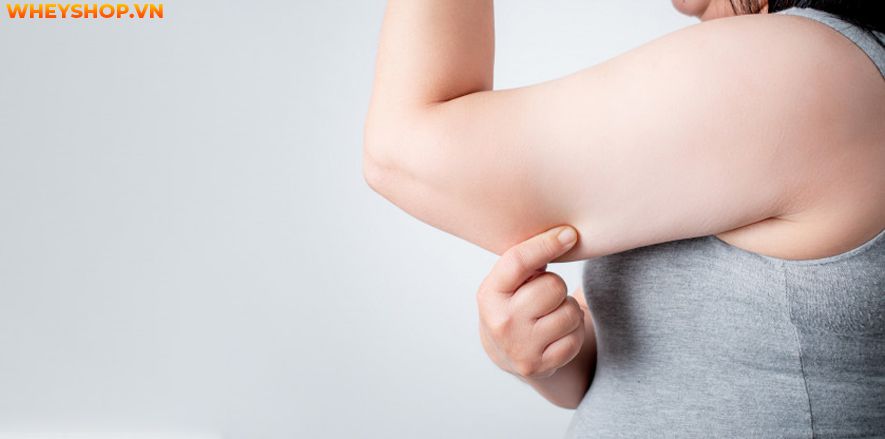 Nếu bạn đang băn khoăn áp dụng nhiều cách cách giảm mỡ bắp tay nhưng chưa có hiệu quả thì bài viết dưới đây WheyShop sẽ chia sẻ tới bạn bí quyết giảm mỡ bắp...