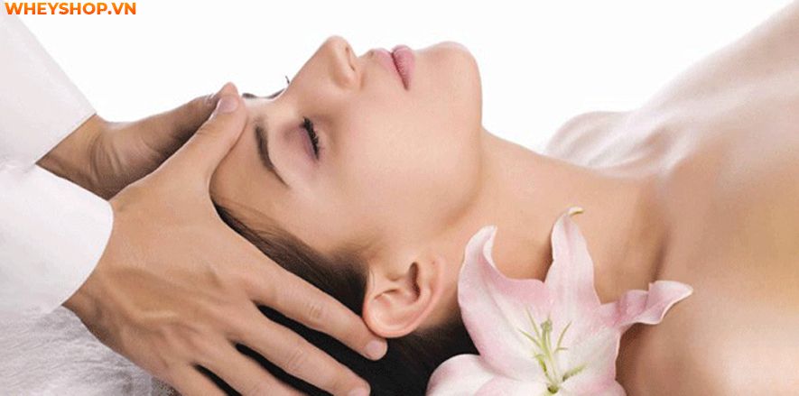 Nếu bạn đang băn khoăn tìm cách matxa đầu giảm đau, xua tan mệt mỏi hiệu quả ngay tại nhà thì hãy cùng WheyShop tham khảo bài viết...