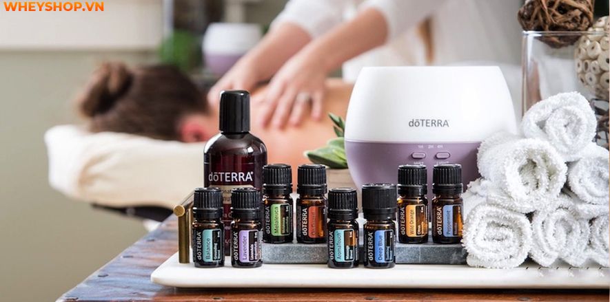 Nếu bạn đang băn khoăn tìm cách matxa đầu giảm đau, xua tan mệt mỏi hiệu quả ngay tại nhà thì hãy cùng WheyShop tham khảo bài viết...