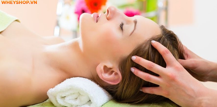 Nếu bạn đang băn khoăn tìm cách matxa đầu giảm đau, xua tan mệt mỏi hiệu quả ngay tại nhà thì hãy cùng WheyShop tham khảo bài viết...