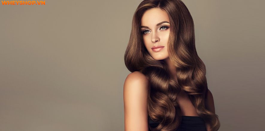 Nếu bạn đang băn khoăn tìm cách matxa đầu giảm đau, xua tan mệt mỏi hiệu quả ngay tại nhà thì hãy cùng WheyShop tham khảo bài viết...