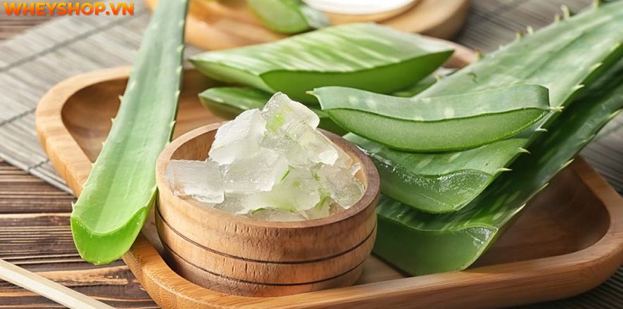 Nếu bạn đang băn khoăn tìm cách trị mụn đơn giản tại nhà hiệu quả thì hãy cùng WheyShop tham khảo 12 cách trị mụn tự nhiên, hiệu quả...