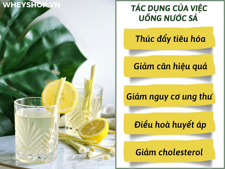 Sả có rất nhiều lợi ích và công dụng sức khoẻ. Vậy bạn đã biết cách uống nước sả giảm cân chưa? Bài viết này, WheyShop sẽ giới thiệu tới bạn cách uống nước...