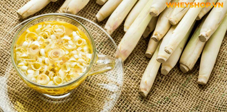 Sả có rất nhiều lợi ích và công dụng sức khoẻ. Vậy bạn đã biết cách uống nước sả giảm cân chưa? Bài viết này, WheyShop sẽ giới thiệu tới bạn cách uống nước...