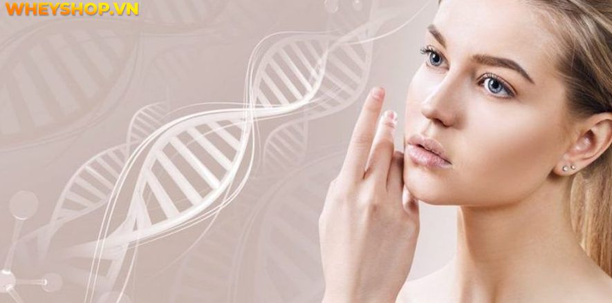 Nếu bạn đang tìm hiểu về tác dụng của tế bào gốc với da mặt thì hãy cùng WheyShop tham khảo chi tiết qua bài viết ngay say đây...