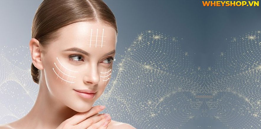 Nếu bạn đang tìm hiểu về tác dụng của tế bào gốc với da mặt thì hãy cùng WheyShop tham khảo chi tiết qua bài viết ngay say đây...