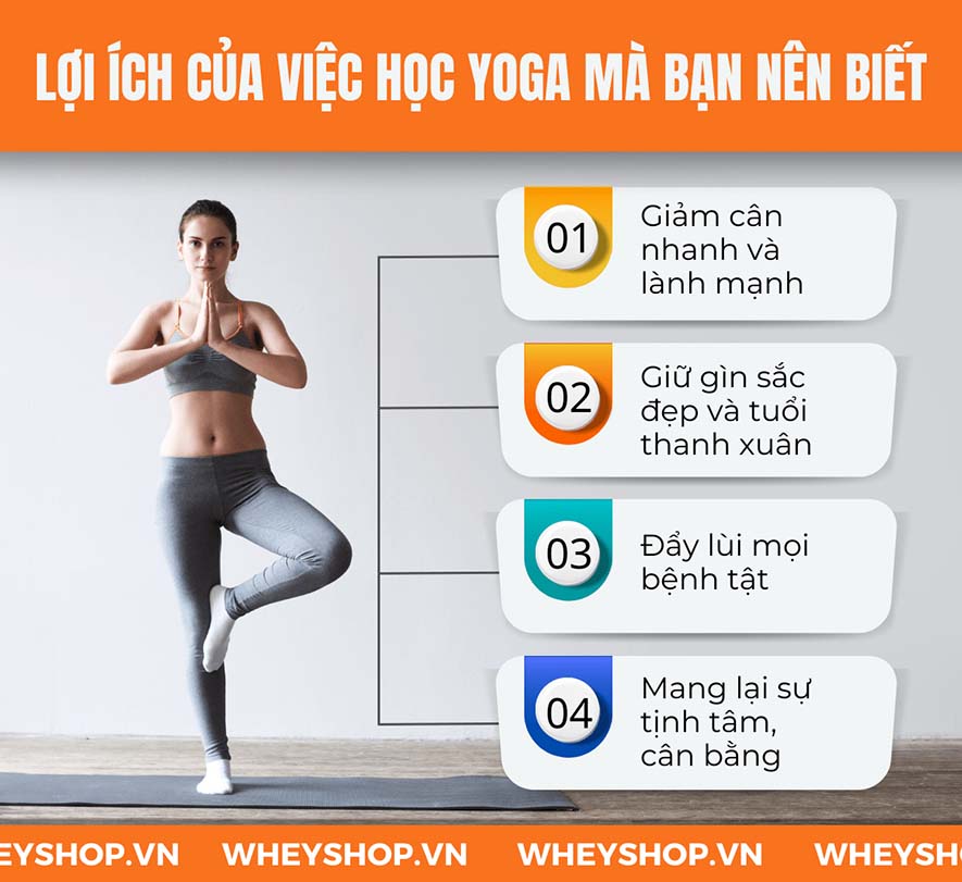 Học yoga đang trở thành xu hướng ngày càng được nhiều chị em ưa chuộng trong xã hội hiện đại ngày nay. Đặc biệt, việc tập luyện yoga còn mang lại nhiều lợi...